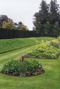 flower beds in west garden